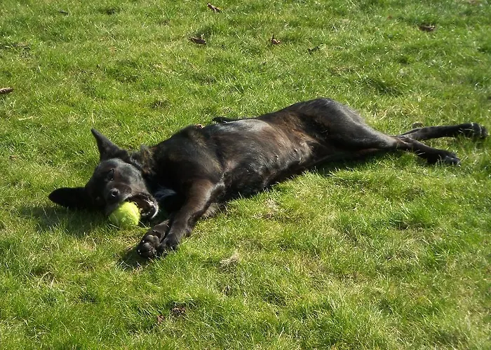 Bed and Breakfast De Peperhoeve *